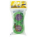 【まとめ買い10個セット品】 ヤマト メモックロールテープ WR-25H-LI ライム 2巻【ECJ】