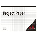【まとめ買い10個セット品】 オキナ プロジェクトペーパー PPB40S 1冊【ECJ】