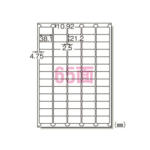 【まとめ買い10個セット品】 エーワン ラベルシール(インクジェット) 29243 10枚【ECJ】