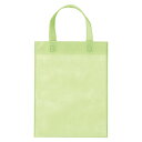 【まとめ買い10個セット品】 サンナップ 不織布バッグ FCB-A4GRN グリーン 10枚【ECJ】