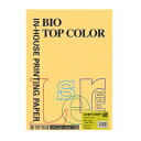 【まとめ買い10個セット品】 伊東屋 バイオトップカラー BT202 ゴールド 100枚【ECJ】