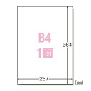 【まとめ買い10個セット品】 エーワン ラベルシール(プリンタ兼用) 28423 100枚【ECJ】