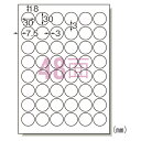 【まとめ買い10個セット品】エーワン ラベルシール(プリンタ兼用) 75248 20枚【ECJ】