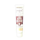 【まとめ買い10個セット品】 ターナー アクリルガッシュ AG020172 1本【ECJ】