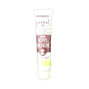【まとめ買い10個セット品】 ターナー アクリルガッシュ AG020175 1本【ECJ】