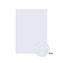 【まとめ買い10個セット品】 ヒサゴ コピー偽造予防用紙 BP2060 110枚【ECJ】
