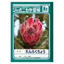 【まとめ買い10個セット品】 ショウワノート 学習ノート JA-68 1冊【ECJ】