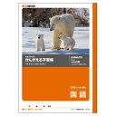 日本ノート(キョクトウ) 学習ノート L11R 1冊【ECJ】