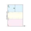 【まとめ買い10個セット品】 ヒサゴ マルチプリンタ帳票 BP2013 100枚【ECJ】