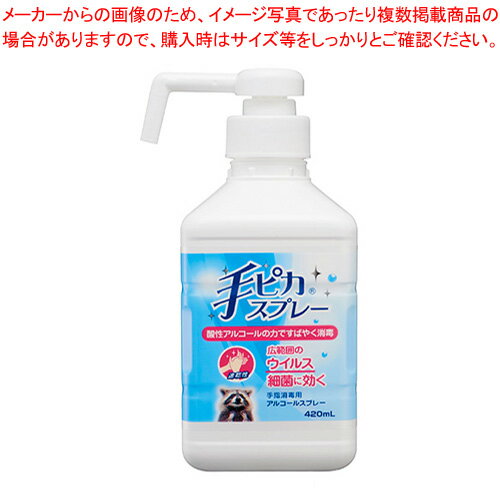 【まとめ買い10個セット品】健栄製薬 手ピカスプレー 手ピカスプレー スプレー付き【ECJ】 1