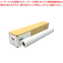 アジア原紙 消臭・抗菌・抗ウイルス 大判インクジェット用紙 不織布 IJSK-6120 【ECJ】