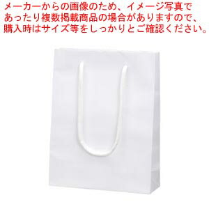 【まとめ買い10個セット品】ブライトバッグ MM 6138301 シロ 1枚【ECJ】