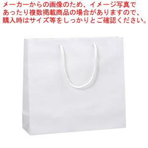ブライトバッグ GM 6137901 シロ 1枚【ECJ】
