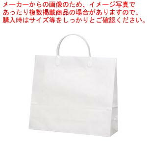 【まとめ買い10個セット品】白無地コーティングバッグ 10枚入 シロムジコートバッグNO.6 1袋【ECJ】
