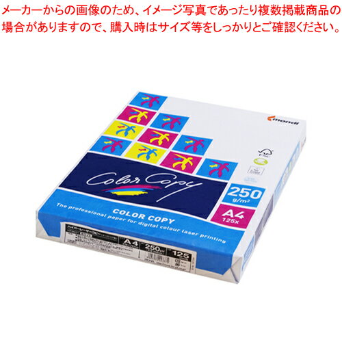 【まとめ買い10個セット品】ハイパーレーザーコピー A4 250G HP5051 ホワイト 1冊【ECJ】