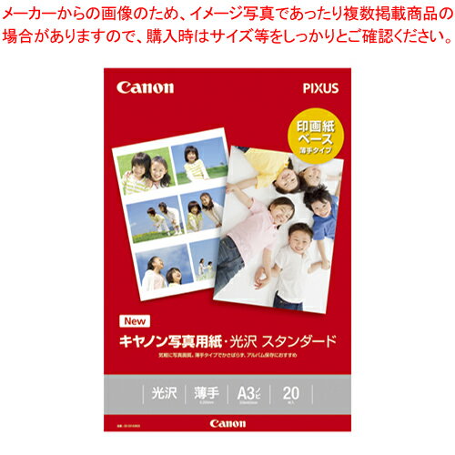 【まとめ買い10個セット品】写真用光沢紙 スタンダード A3ノビ 20枚 SD-201A3N20 1冊【ECJ】(2)