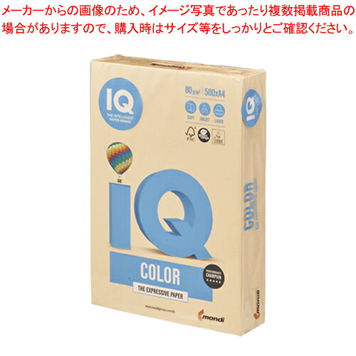 バイオトップカラー A4判 500枚 BT502 ゴールド 1冊【ECJ】
