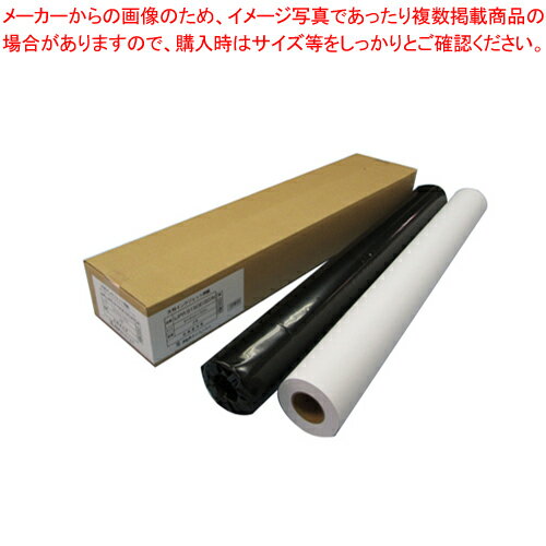 【まとめ買い10個セット品】大判インクジェット用紙 普通紙(エコノミー80) 2本入り IJPR-8450E(80)N 1箱【ECJ】