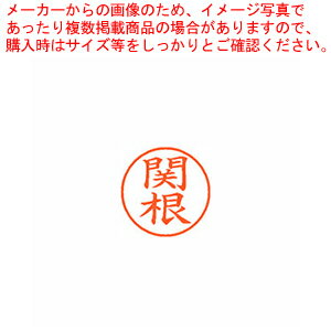 【まとめ買い10個セット品】ネーム9 既製 関根 XL-9 1346 セキネ 1本【ECJ】