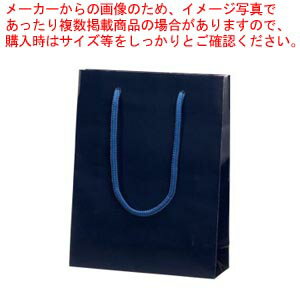 ブライトバッグ MM 6138315 シコン 1枚【袋 紙袋 バック コート紙 高級感 光沢 PP貼り 雨に強い 丈夫 シコン 紫紺 青 ブルー プレゼント 家...