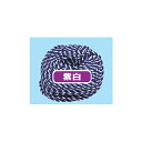 紐(1巻き)　紫白紐【ECJ】