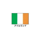 旗(世界の国旗) エクスラン国旗 アイルランド 取り寄せ商品【ECJ】