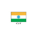 旗(世界の国旗) エクスラン国旗 インド 取り寄せ商品【ECJ】