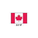 旗(世界の国旗) エクスラン国旗 カナダ 取り寄せ商品【ECJ】