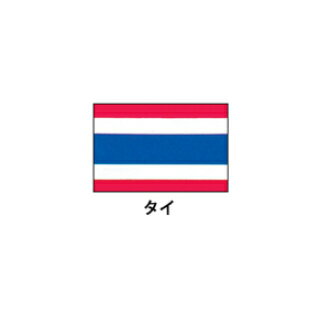 旗(世界の国旗)　エクスラン国旗　タイ　取り寄せ商品【ECJ】