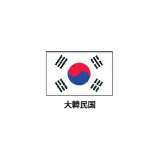 旗(世界の国旗)　エクスラン国旗　大韓民国　取り寄せ商品【ECJ】