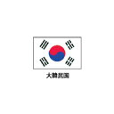 旗(世界の国旗) エクスラン国旗 大韓民国 取り寄せ商品【ECJ】