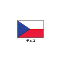 旗(世界の国旗) エクスラン国旗 チェコ 取り寄せ商品【ECJ】