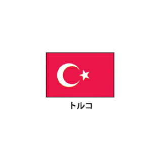 旗(世界の国旗)　エクスラン国旗　トルコ　取り寄せ商品【ECJ】