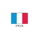旗(世界の国旗) エクスラン国旗 フランス 取り寄せ商品【ECJ】