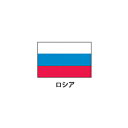 旗(世界の国旗) エクスラン国旗 ロシア 取り寄せ商品【ECJ】