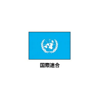 旗(世界の国旗)　エクスラン国旗　国連　取り寄せ商品【ECJ】