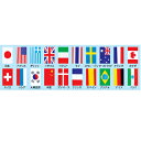 テトロン20カ国連続旗 長さ11.5mタイプ【ECJ】
