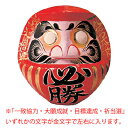 必勝だるま 16号 (約 高さ58/胴150cm) 直送品 別発送品【ECJ】