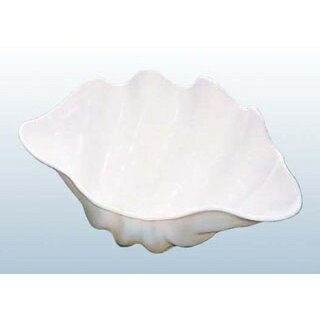 樂天商城 - シャコ貝 ホワイト L プラスチック【ECJ】