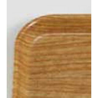 キャンブロ カムトレー 1826(307)ライトエルム【ECJ】