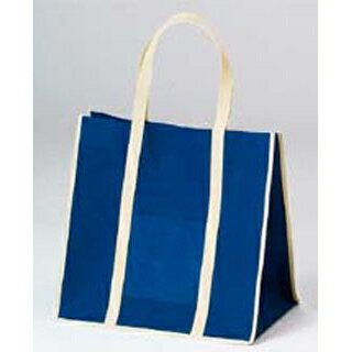 【まとめ買い10個セット品】 ファインビュー不織布バッグ(10枚入)大 ネイビー【ECJ】