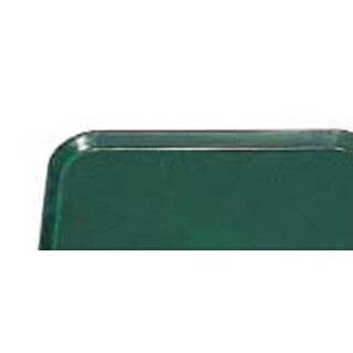 キャンブロ カムトレー 2025(119)シアウッドグリーン【ECJ】