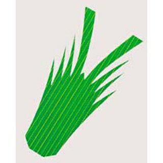 生バラン 海老型1号(1000枚入)【ECJ】