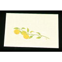 【まとめ買い10個セット品】 尺三 懐石まっと クリーム(100枚入)WSS-15 ゆず(10月〜11月)【ECJ】