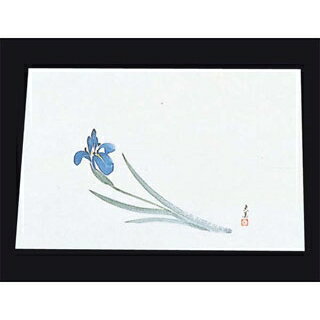 【まとめ買い10個セット品】 四季紙 萬寿(100枚入)M33-112 あやめ【ECJ】