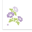 【まとめ買い10個セット品】 和紙テーブルマット「花日和」Sサイズ(100枚入)A-7-9「朝顔」【ECJ】