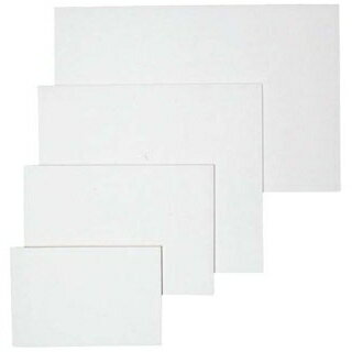 【まとめ買い10個セット品】 吸油敷紙(100枚入)大 E-60 450×380【ECJ】