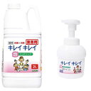 【まとめ買い10個セット品】ライオン キレイキレイ 薬用泡ハンドソープ 2L 専用ポンプ付【ECJ】(3)