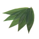 【まとめ買い10個セット品】天然笹葉(100枚入)5120 7S【ECJ】