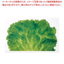 ミリオンフィルムシート(1000枚入)レタス【ECJ】